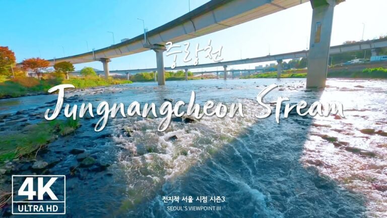 [4K Drone ✈] 중랑천ㅣJungnangcheon Stream (Seoul, Drone Footage – 전지적서울시점)