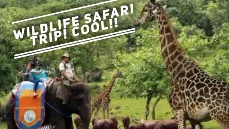 WILDLIFE SAFARI BOGOR NEAR JAKARTA INDONESIA TRIP EXPLORING AND SEEING WILD ANIMALS UP CLOSE!