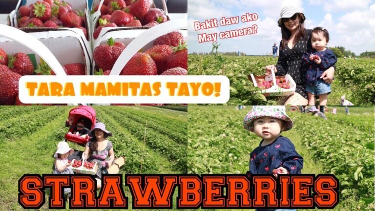 STRAWBERRY FARM NG CANADA/TARA MAMITAS TAYO