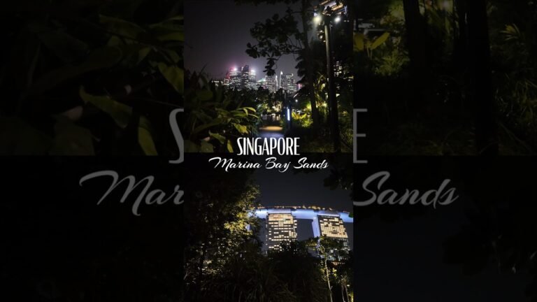 Marina bay Sands view at night | Singapore  #travel #singapore #singaporetravel #visitsingapore